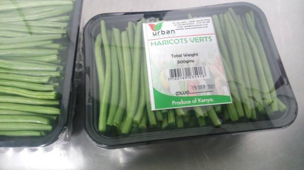 Fresh French Bean from 케냐 supplied by Urban Fresh Venture - Green 말린 일반 콩