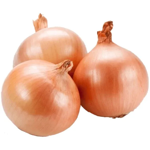 Fresh Brown Onion from 포르투갈 supplied by Agro-Graça Lda - Brown 신선 양파