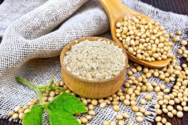Soya Flour from 인도 supplied by Sakthi Sugars - 대두분말
