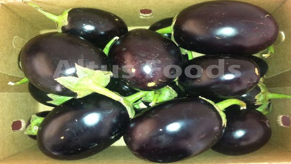 Fresh Eggplant from 우간다 supplied by Altus Uganda Ltd - Globular 가지
