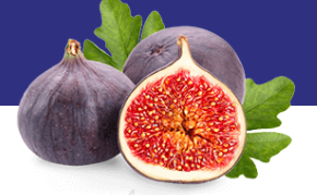 Bursa Black Fig from 튀르키예 supplied by Alanar Fruit - Black Bursa 신선 무화과