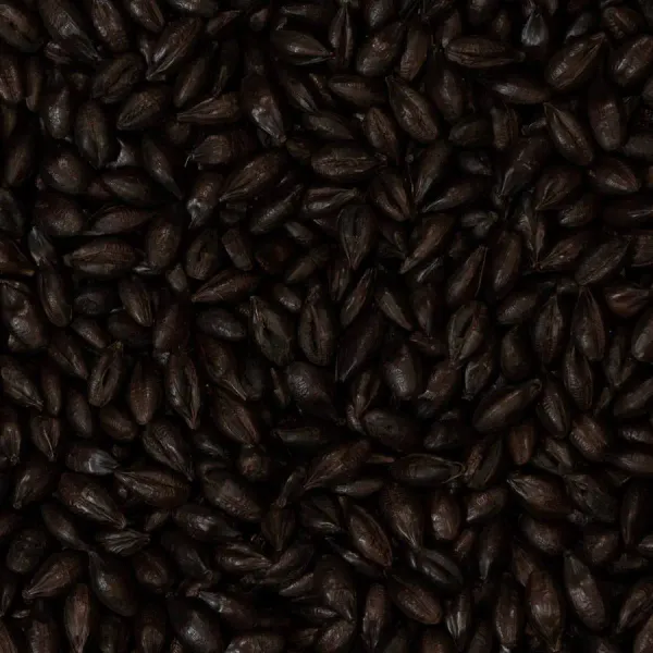 Barley Malt from 영국 supplied by French & Jupps Limited - Black Malt 보리맥아