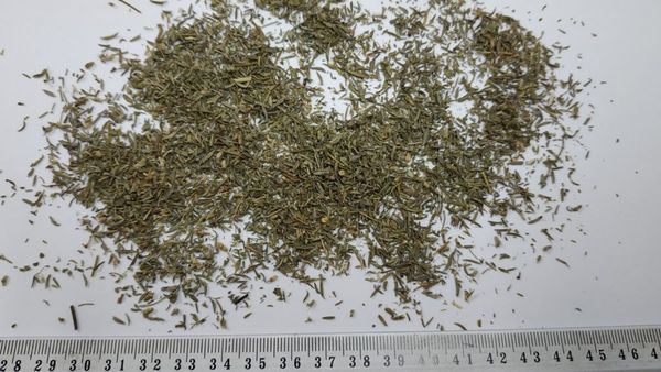 Thyme leaves from Poland supplied by P.W. Rekord Józef Szwajkowski - Conventional Thyme