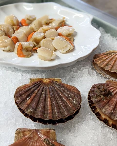 Scallops from 영국 supplied by The Valley Smokehouse Limited - Whole (=In Shell=Unshucked) 냉동 가리비