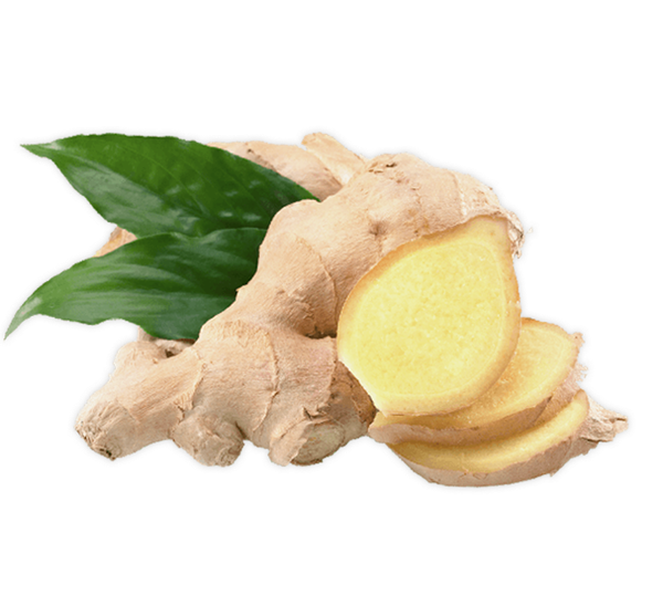 Ginger from 말레이시아 supplied by ASY Enterprise - Yellow 통생강