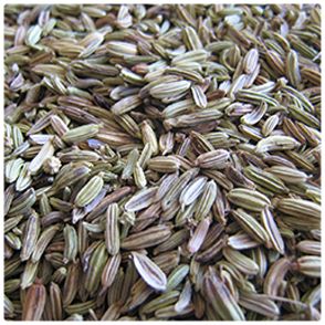 Fennel Seed from Turkiye supplied by Cemre Agricultural Products Industry & Foreign Trading Inc. - Dried Fennel Seed