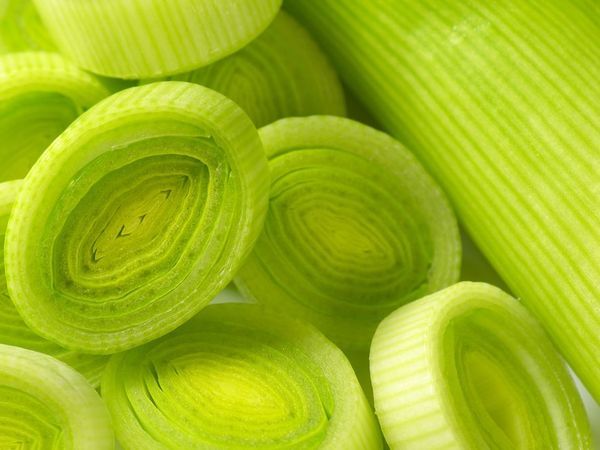 Leek from Poland supplied by Abroda - Green Leek