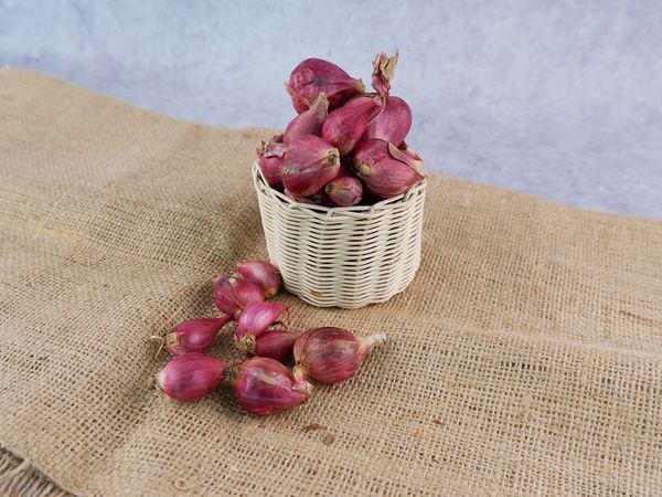 Shallot from 인도네시아 supplied by EdenFarm - 보랏빛 빨강 샬롯