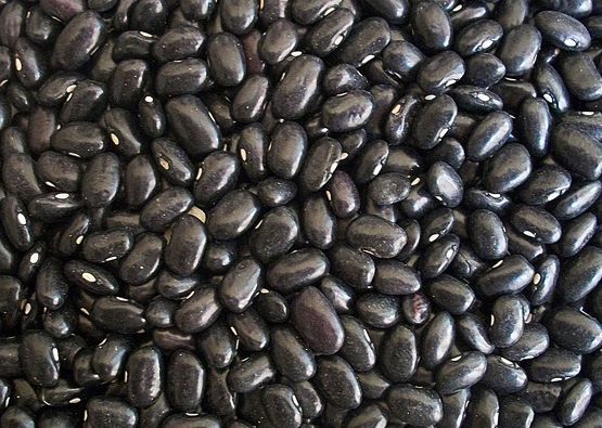 Black Beans from 미국 supplied by Seneca Foods Corp. - Black 말린 일반 콩