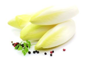 Fresh Chicory from 독일 supplied by Birkenhof Gemüse KG - White Chicory - Belgium Endive (=Witloof) 치커리