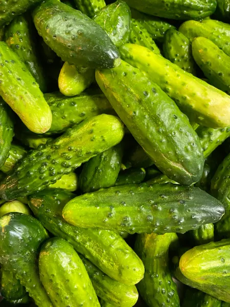 Pickled Cucumber from 미국 supplied by OlyKraut - Jar 오이 가공품
