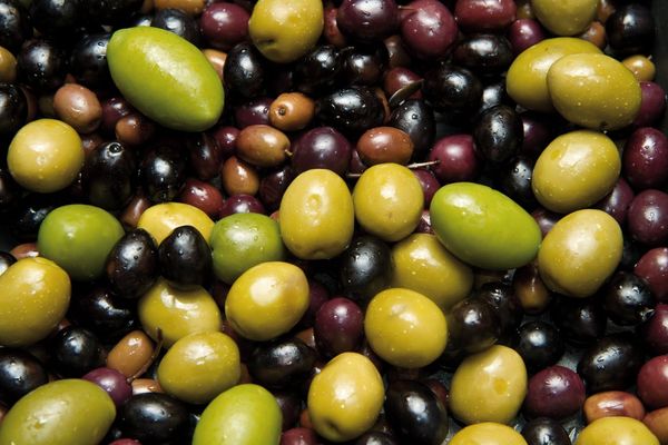 Olives from 스페인 supplied by Alcaparras Asensio Sánchez, S.L. - Excellent Quality 올리브 가공품