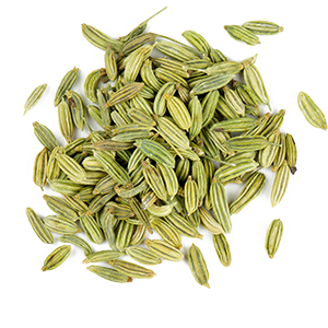 Fennel Seed from India supplied by Spice Essence International LLP - Low Quality Fennel Seed