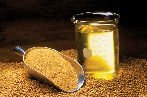 REFINED SOYBEAN OIL from Tanzania supplied by Linafer Trade Limitada - Excellent Quality Refined Soybean Oil
