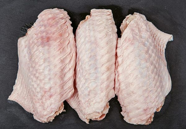 Fresh Turkey Meat from United States supplied by Golden Valley Industries Llc - Skinless (=Without Skin) Turkey Meat
