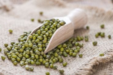 Mung Beans from 중국 supplied by Allerlei-BIO - Dried (=Dehydrated) 말린 녹두