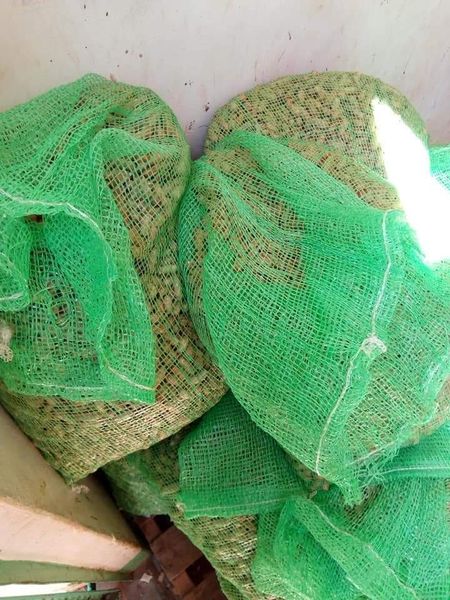 groundnuts from 우간다 supplied by EES ORGANIC FOOD LIMITED - In-shell 땅콩 알맹이
