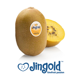 Kiwi from 포르투갈 supplied by Frutas Douro Ao Minho, S.A. - Size: 46 신선 키위