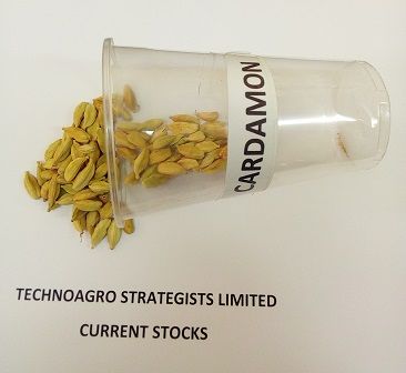 Cardamon from Tanzania supplied by TechnoAgro Strategists Limited. - Elongated Mixed Spices Products