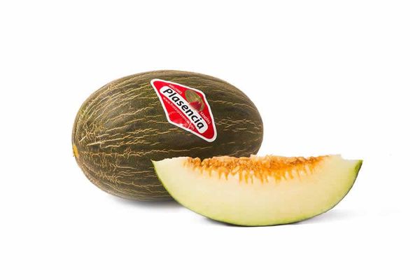 Melon from Spain supplied by Frutas Plasencia S.L. - White Flesh Fresh Melon (Muskmelon)