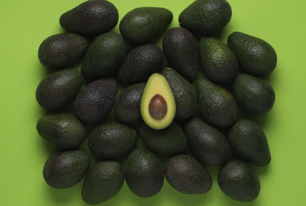 Fresh Hass Avocado from 미국 supplied by Calavo Foods - Hass 신선 아보카도
