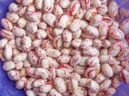 Cranberry Bean from 남아프리카공화국 supplied by Promiseland Import and Export Group - Dried (=Dehydrated) 크랜베리빈