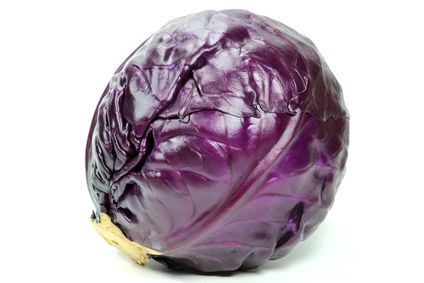 Fresh Red Cabbage from 독일 supplied by Märkische Kiste GmbH - 적양배추 신선 양배추