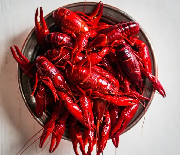Crawfish from 미국 supplied by Mega Harvest Corporation - Fresh (=Chilled=Raw) 가재