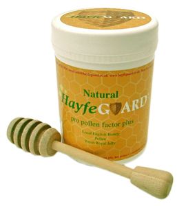 Honey from United Kingdom supplied by HayfeGuard - Pure Honey