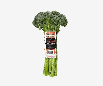 Broccoli from Australia supplied by Fresh Select (Aust) Pty Ltd - Whole Fresh Headed Broccoli