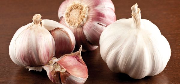 Garlic from 스페인 supplied by Fuente El Pino (Sat 8369 Fuente El Pino) - Conventional 신선 마늘