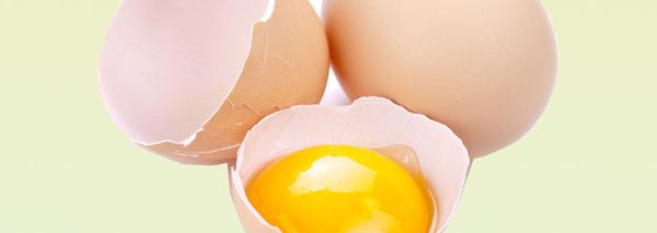 Chicken Eggs from 폴란드 supplied by RAFOOD SP. Z O. O. - In Shell 달걀