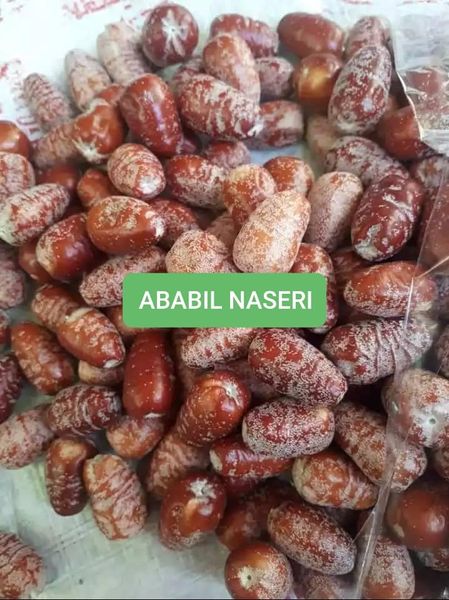 Dates from 아프가니스탄 supplied by Ababil Naseri Trading Company - Meat with Seed 신선 대추야자