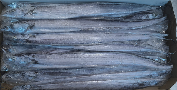 Frozen Ribbonfish from Indonesia supplied by CV. Sumber Laut Rejeki - Frozen Frozen Ribbonfish