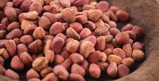Kola Nuts from Ivory Coast supplied by AFRECO - Whole Kola Nut