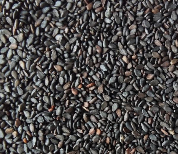 Black Sesame Seed from 방글라데시 supplied by Global Agro Resources Incorporation - Purity 99.00% min 참깨