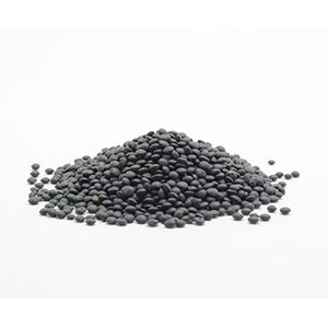 Lentils from United States supplied by MOUNTAIN HIGH ORGANICS, INC. - Green Lentil - French Dried Lentil