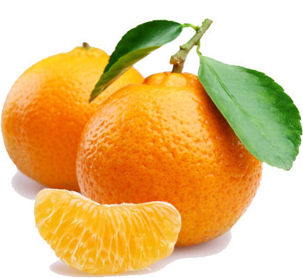 Mandarines from 튀르키예 supplied by SNO TARIM VE ZIRAI ISLT / SNO CITRUS TURKEY - Orange 신선 만다린