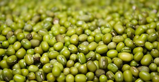 Green Mung Bean from 싱가포르 supplied by Robust International Group - Green 말린 녹두