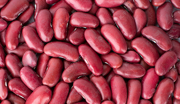 RED KIDNEY BEANS from 중국 supplied by LAIWU TAIFENG FOODS CO., LTD - As per customer's request 말린 팥