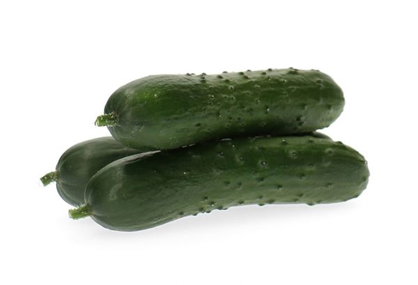French Cucumber from Spain supplied by Hortofruticola Mabe SAT - Dark Green Fresh Cucumber