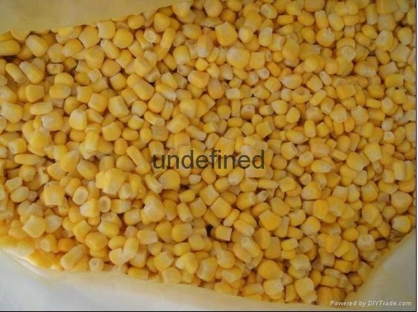 IQF Sweet Corn Kernels from China supplied by LAIYANG HONGRI FOODSTUFF CO.,LTD. - Frozen Maize (Corn)