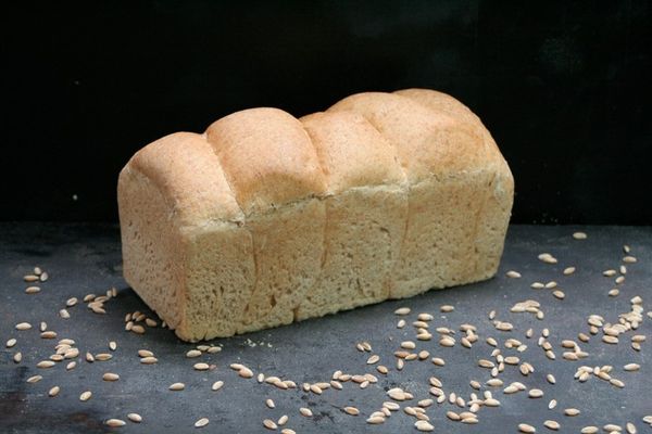 Organic Bakery & Bread from 독일 supplied by Lew Bakery and Natural Food - Bread 베이커리 및 빵류