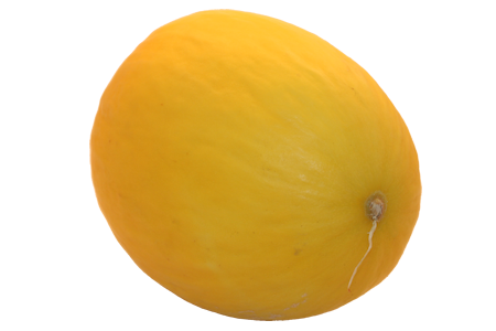 Melon from Turkiye supplied by Yucesoy Tarim - Whole Fresh Melon (Muskmelon)