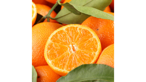 Orange from Colombia supplied by East Colombia Trading Company - All Calibers Fresh Orange