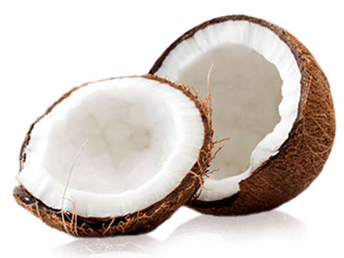 Coconut from 네덜란드 supplied by Agrofair - Brown 기타 신선 코코넛