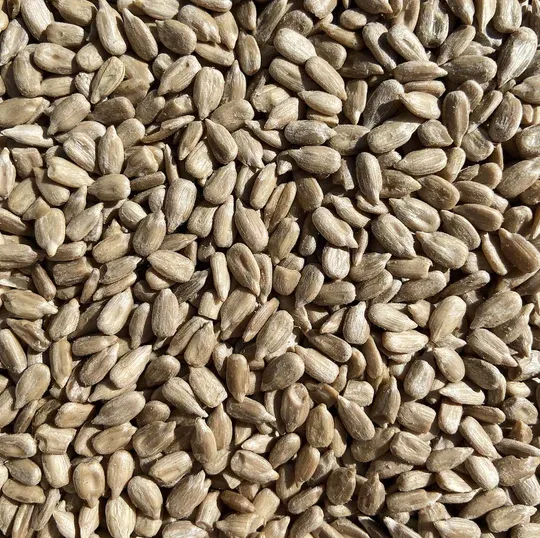 Sunflower Seeds from 남아프리카공화국 supplied by CNC Products - Dried 해바라기 씨