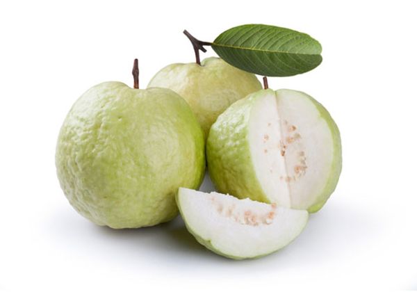 Guava from India supplied by Deccan Produce - White Flesh Fresh Guava