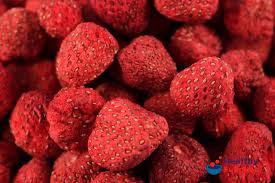 Freeze Dried Strawberry from Malaysia supplied by London Probiotics Sdn Bhd - Conventional Fresh Strawberry