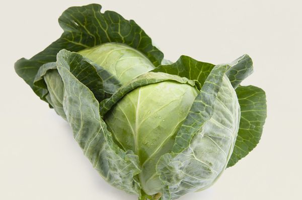 Cabbage from 폴란드 supplied by AGROSAD sp. z o.o. - Chinese Cabbage 신선 양배추